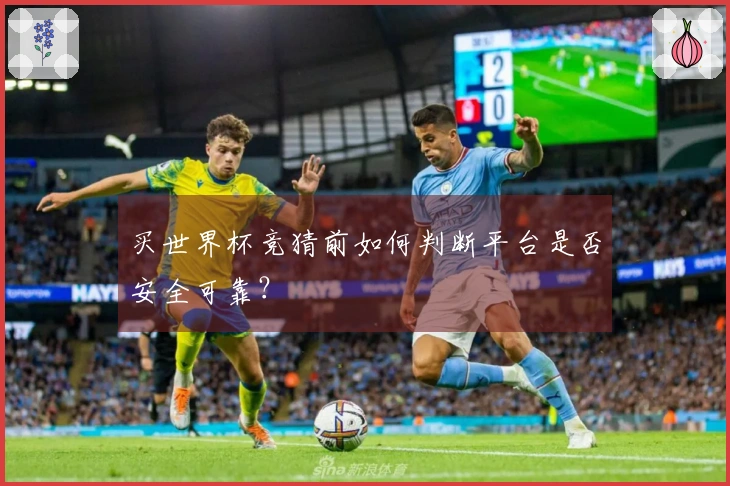 买世界杯竞猜前如何判断平台是否安全可靠？