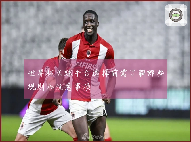 世界杯买球平台选择前需了解哪些规则和注意事项