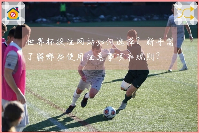 世界杯投注网站如何选择？新手需了解哪些使用注意事项和规则？