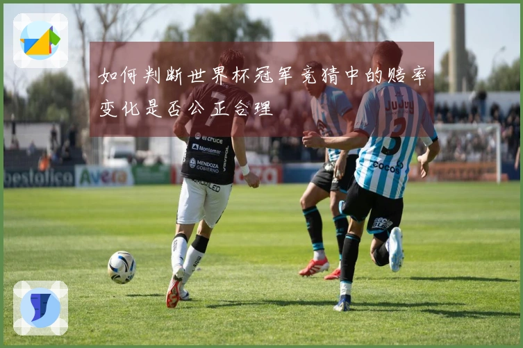 如何判断世界杯冠军竞猜中的赔率变化是否公正合理