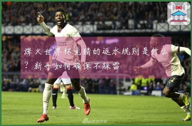 烽火世界杯竞猜的返水规则是什么？新手如何确保不踩雷