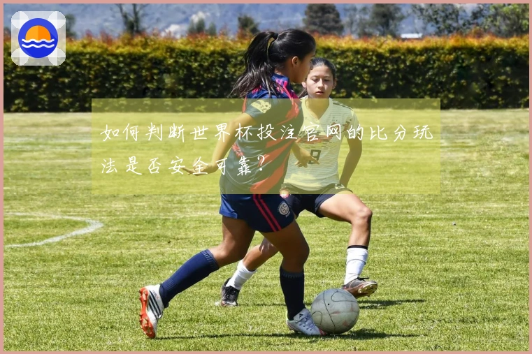 如何判断世界杯投注官网的比分玩法是否安全可靠？