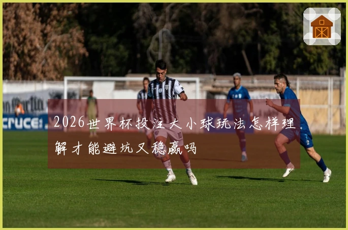 2026世界杯投注大小球玩法怎样理解才能避坑又稳赢吗
